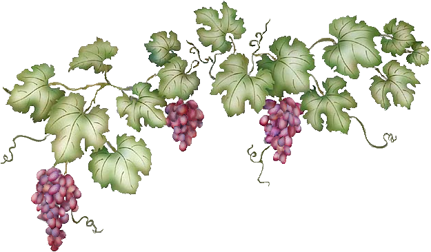 free clip art grape vine borders - photo #34