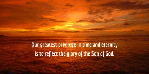 privilege to glorify Son of God